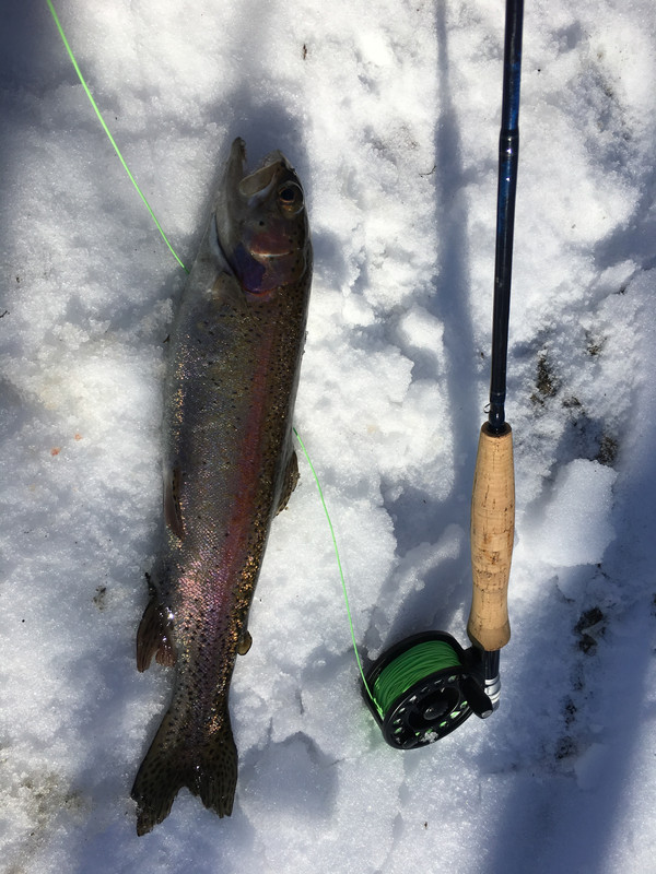 2805985A-9B48-4888-9FD1-092C18671181