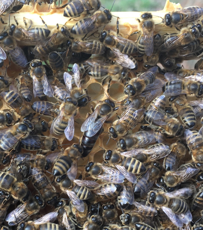 FA48A62A-5515-40E6-AB71-BADF8141086F