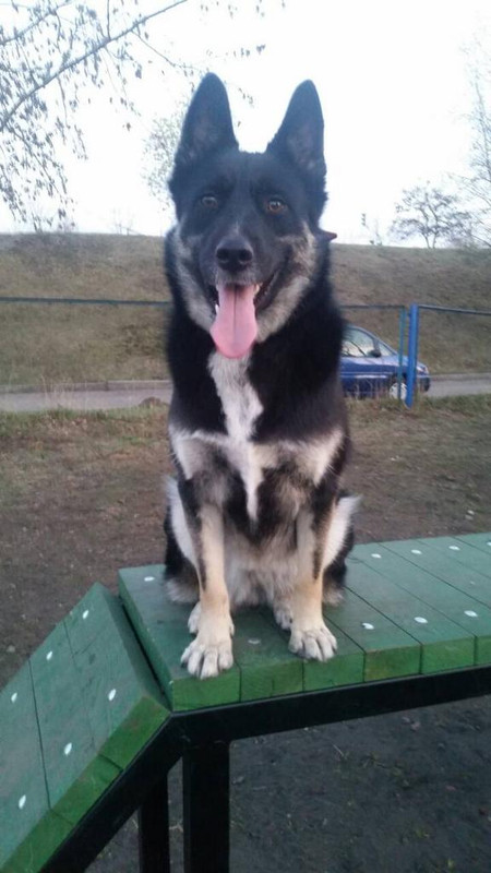 изображение_viber_2019-07-13_19-18-т02