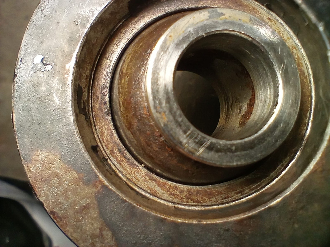 Zdjęcie WhatsApp 2024-05-27 o 20.38.39_3e361318