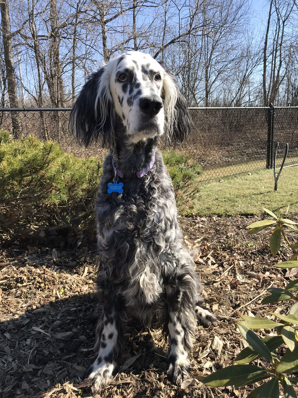 49A95B0C-A25F-42C3-9819-2EE0B5871101