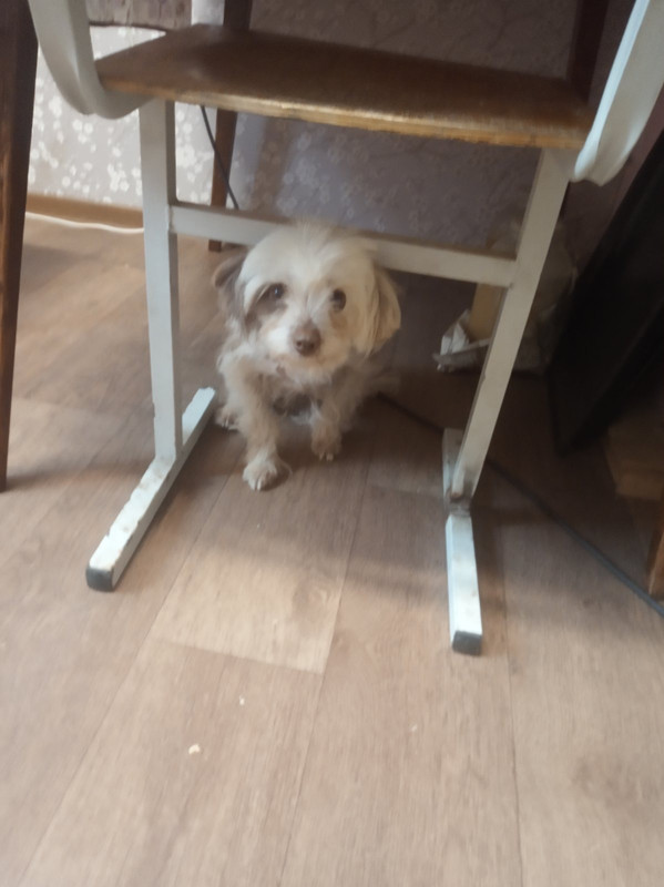 5B9A1517-2857-4234-92B9-6FBFF53D923A