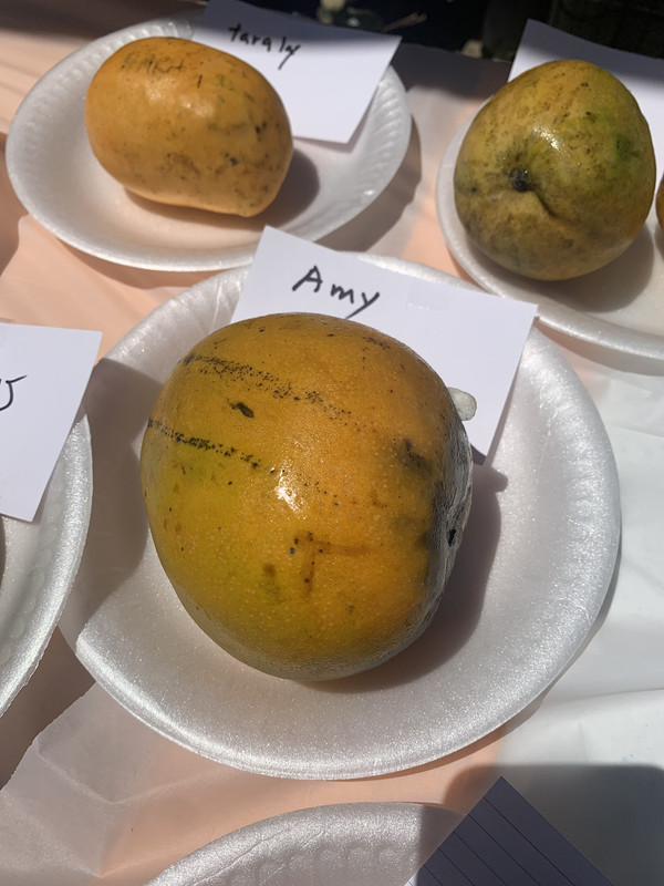 EB032CB5-759E-4B13-8385-C73395F6F252