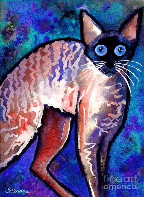 11-startled-cornish-rex-cat-svetlana-novikova