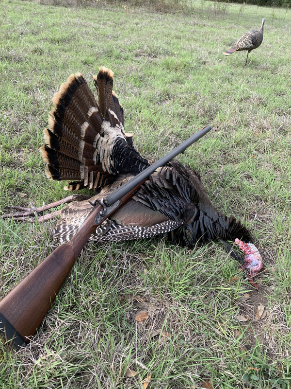 B6E5A3D7-2E49-4254-9B91-27F6F62BE22E