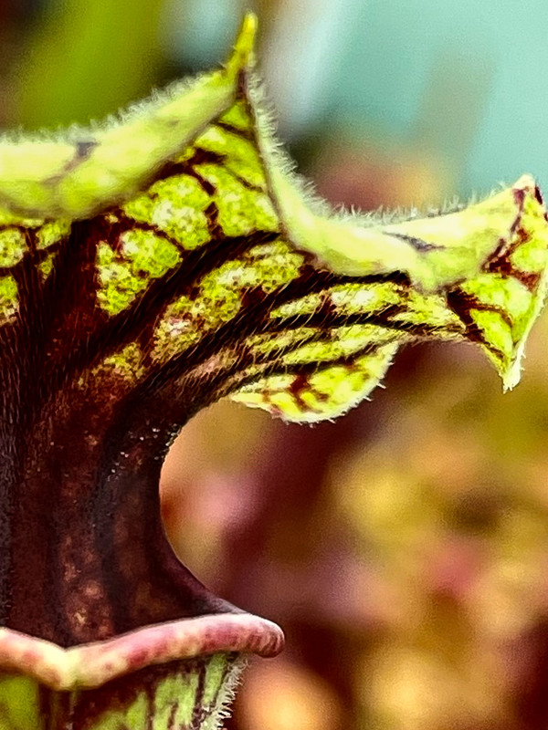 E2E447E3-B792-4F4E-B2A7-FF4CD6753B86