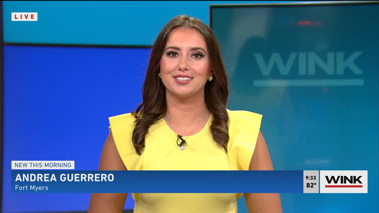 08.28 - 14.00.00 - WINK News @ 9 00AM. Local news, sports and weather.ts_snapshot_08.35_[2021.08.28_