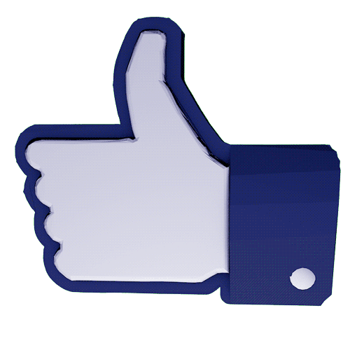 3F3D