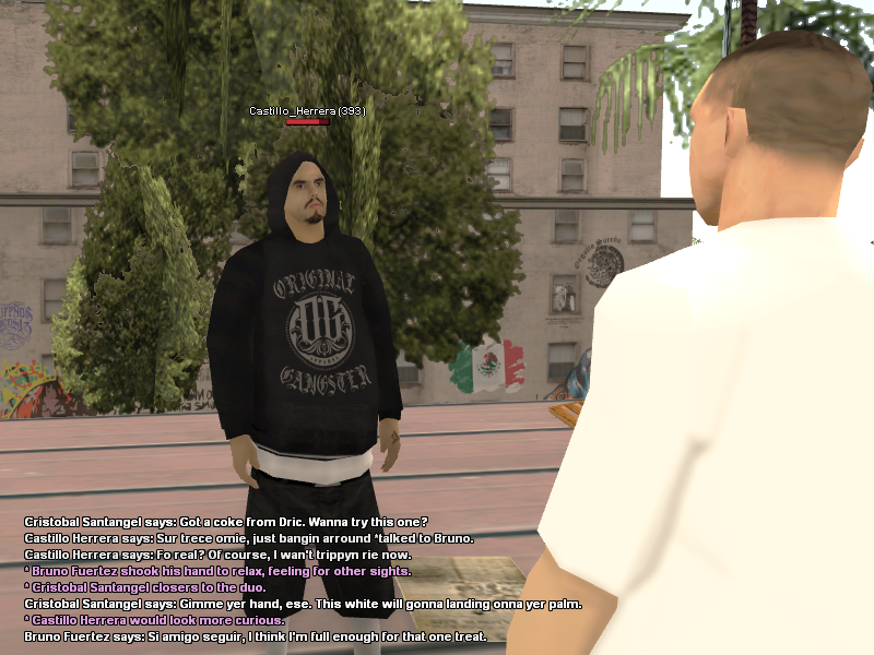 SS1.png