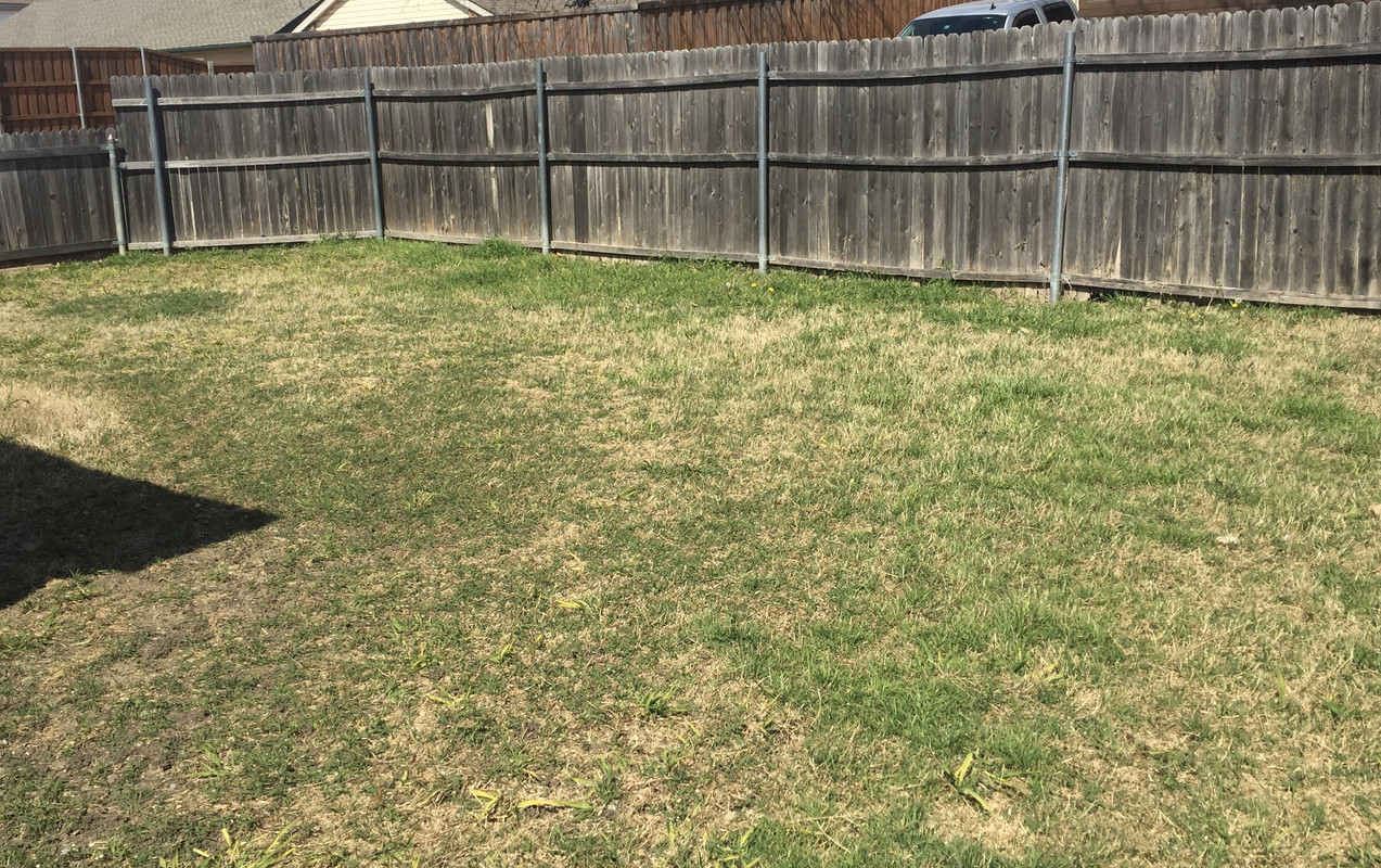 4BFDA29F-4CFF-4028-A954-E38C0B17CFAD