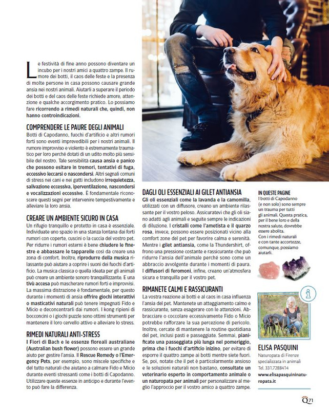 QuattroZampe Dic 2024-Gen 2025 (6)