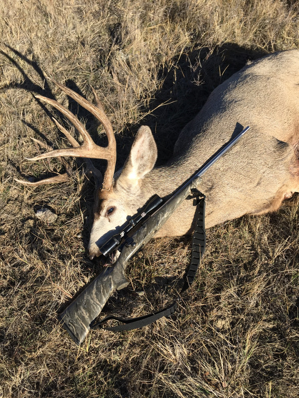 0B6BCFF5-20C8-4080-88A4-8D4AB95EDEC8