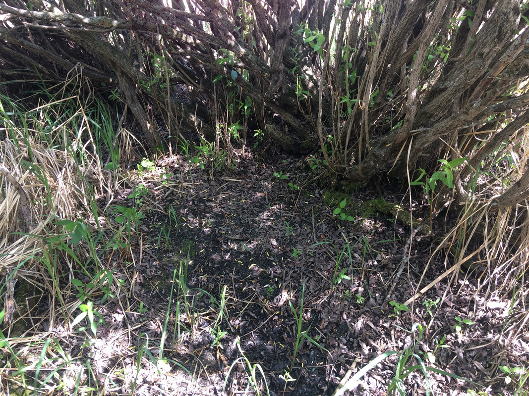 1DEC439B-85B6-4750-A0A9-28204BF51D9D