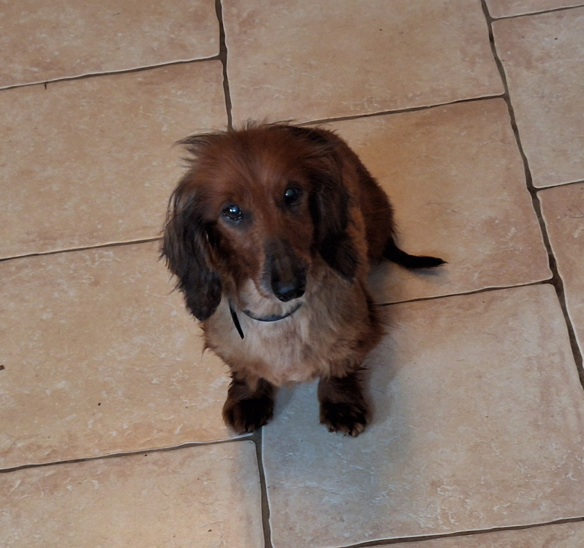 [Image: 20240328-100629.jpg]