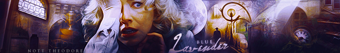 Blue Lavender banner