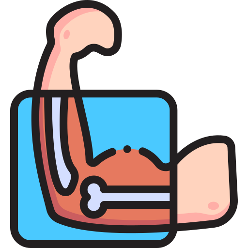 أيقونة عظم