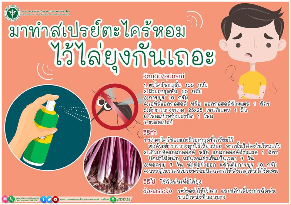 มาทำสเปรย์ตะไคร้หอมไว้ไล่ยุงกันเถอะ