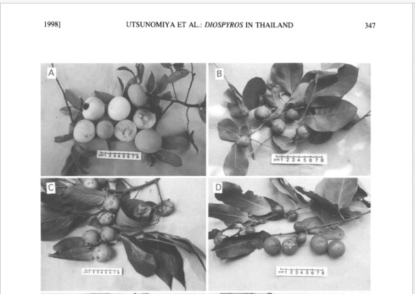 Varieties Part a