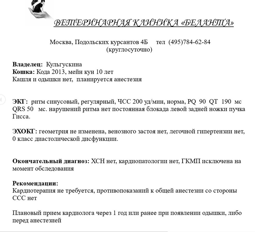 эхо1