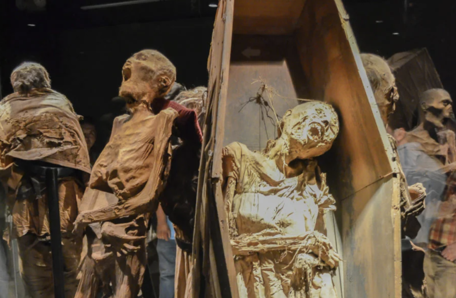 Construcción del nuevo Museo de Momias de Guanajuato inicia en mayo: alcalde