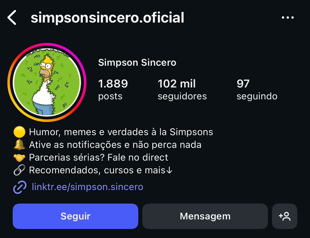 Instagram profile preview 5