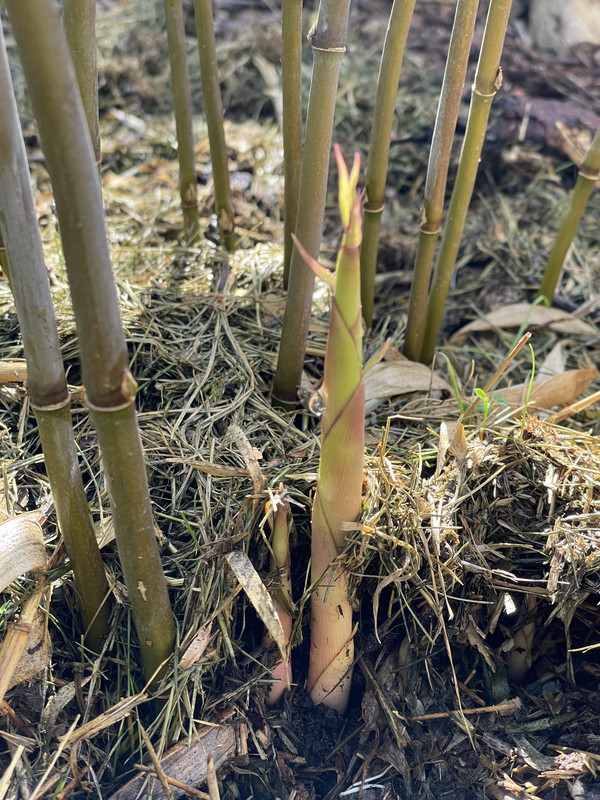 EE1EEA4C-2DD9-473E-B332-07177A8EEA9A