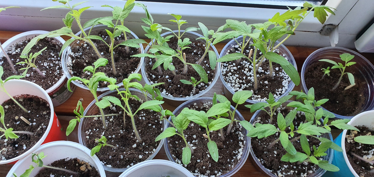 20240213_081242