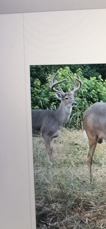 B3E96937-1E7B-44C1-88D8-5C0936D73D84