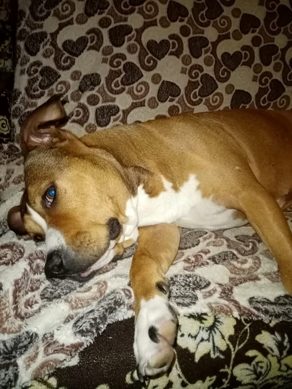 6F260B85-4E03-4286-9C70-4414FF252831