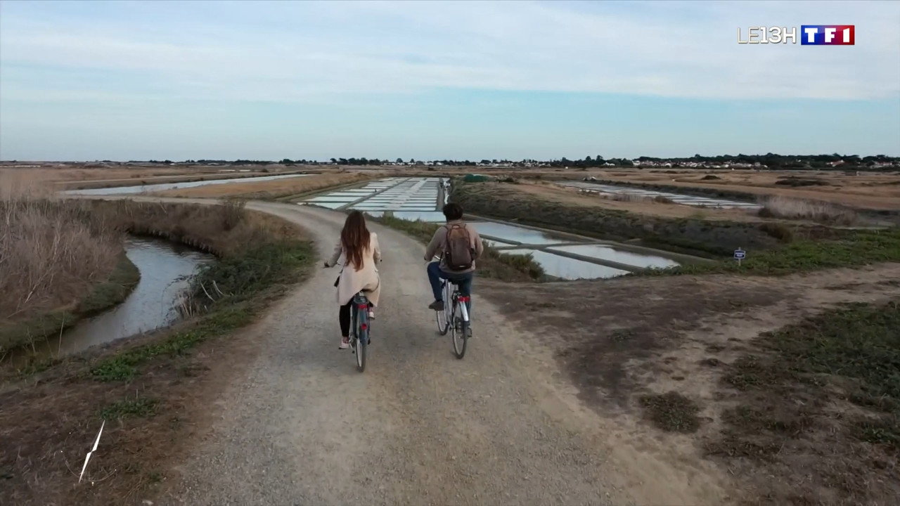 2022-11-19_13_00_TF1_Le-13h.mp4_snapshot_28.59.170