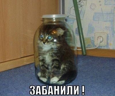 082eb3db8b7376307226c926c90cb37f