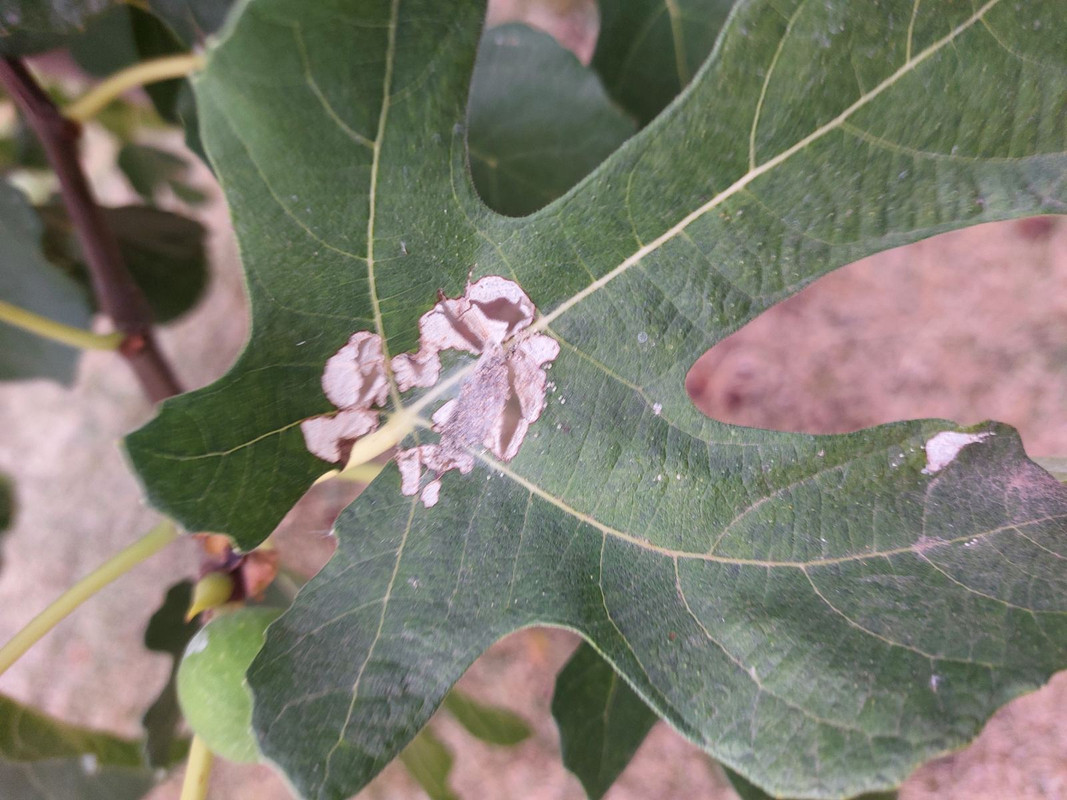 0-02-05-04c3feb1369db064ee4cf7a147bac876d656e3d8daeebe11725eadc4023ebf9e_355faacfaec899be