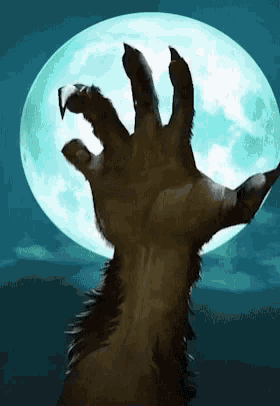 89002E85-4D0E-40F5-B60F-73B06951CA7F.gif