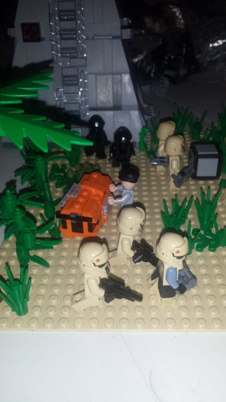 WhatsApp Image 2018-06-30 at 17.48.55 (1)