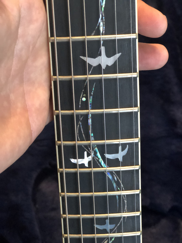 1FB89F12-B6C1-48FB-AA7F-3577CB85A00C