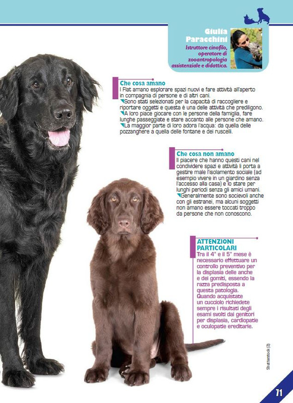 Foc Wil - Lug 2023 (10)