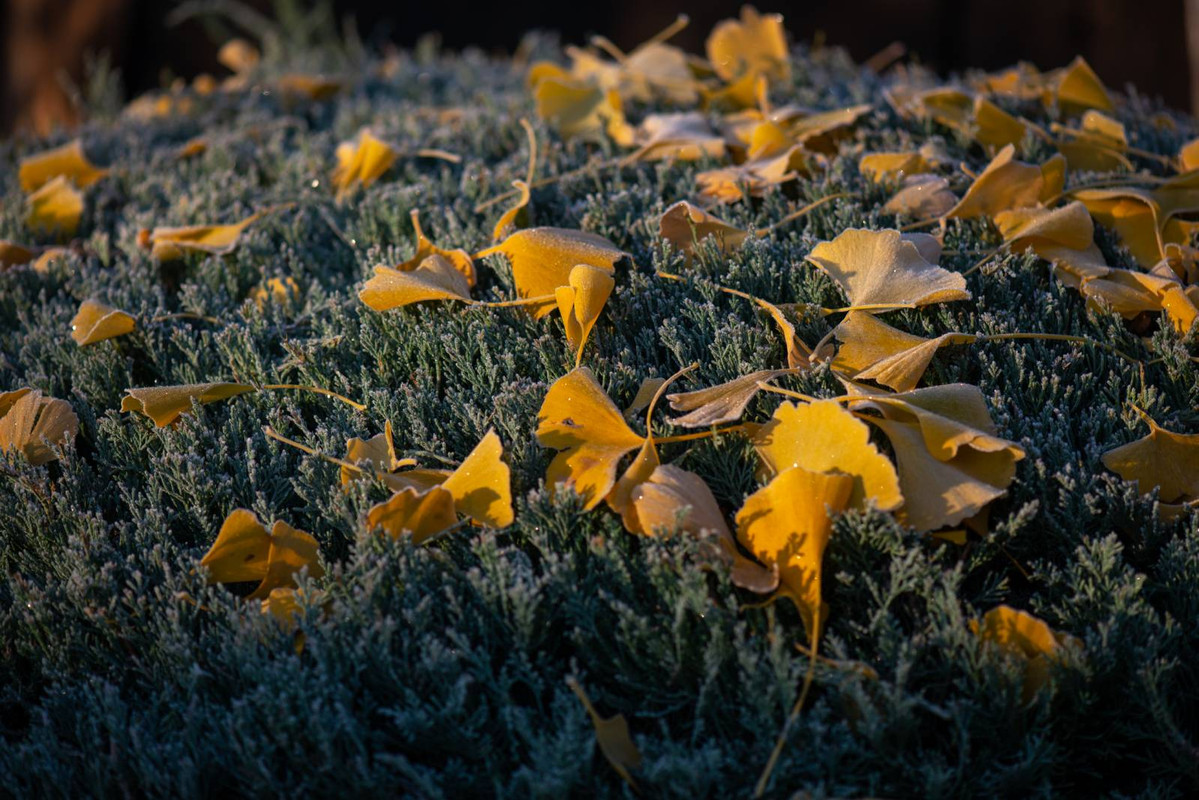 IMG-e53cb4d59305a51e33091300f3725297-V