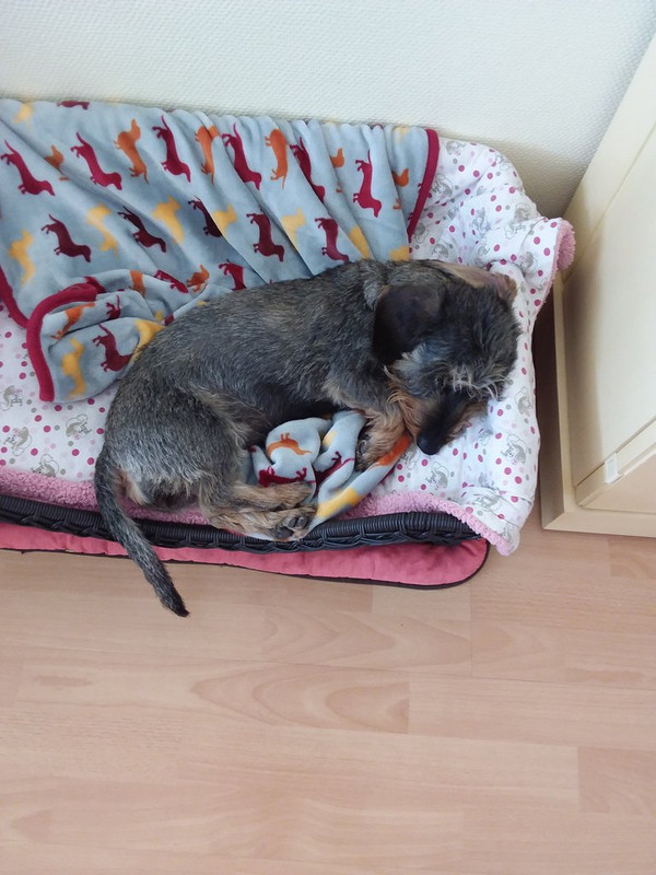 [Image: 20200627-135908.jpg]