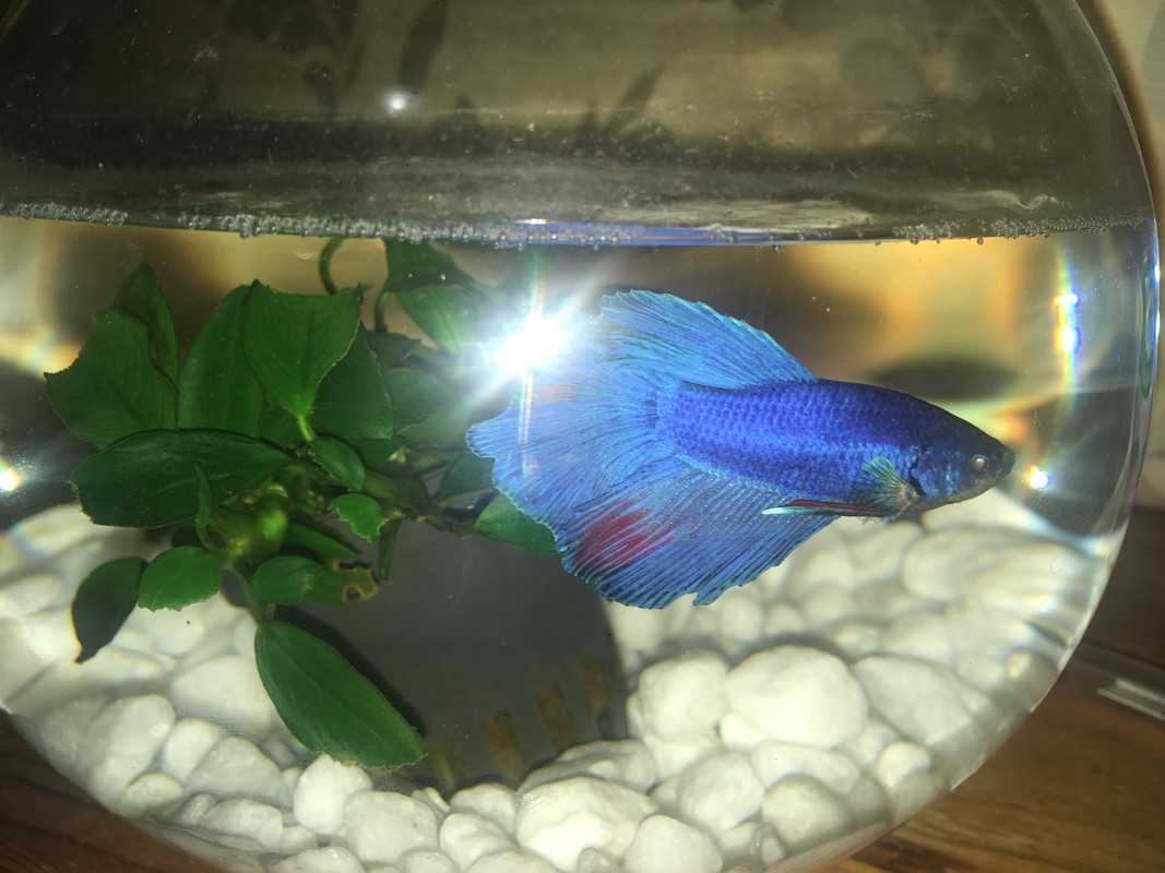 1111E631-F74D-4F33-8BC1-A55A3A5AAD50