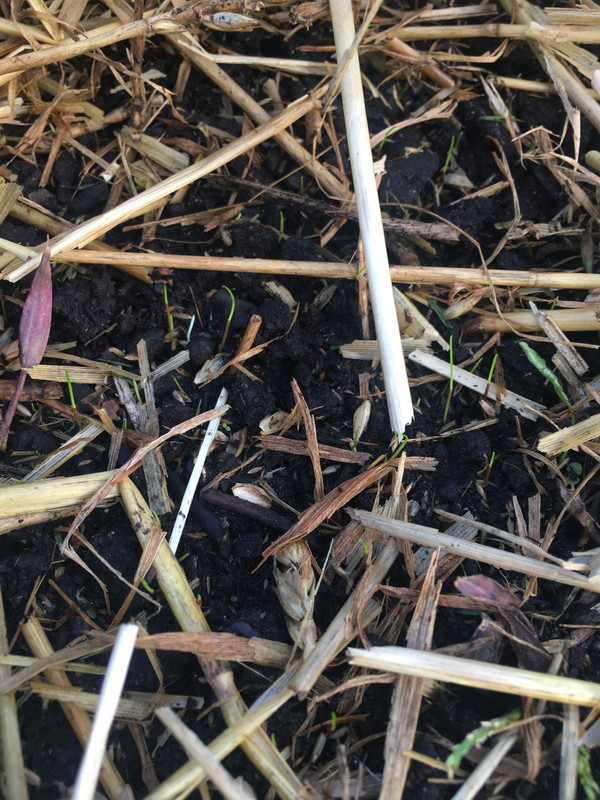 23F27025-6F6B-40DB-86FA-3D86FC685E87