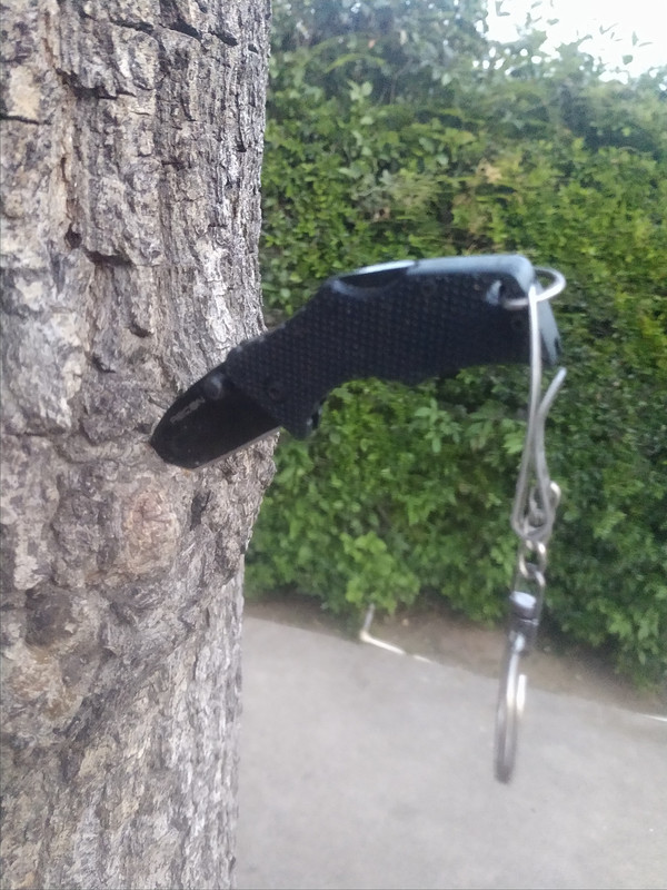 IMG-20190331-191920446.jpg