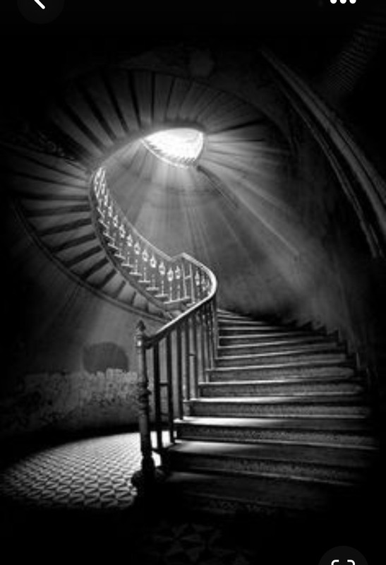 Screenshot_20230805_203611_Pinterest