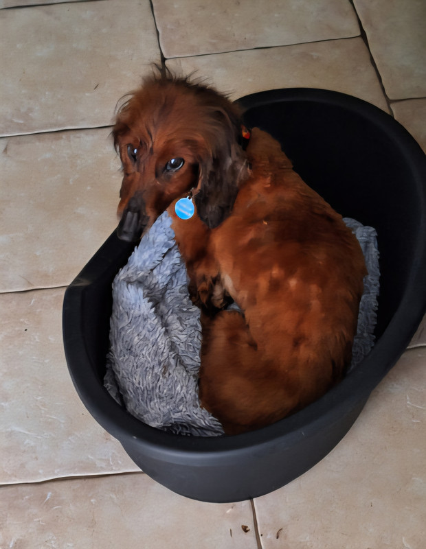 [Image: 20240314-105343-1.jpg]