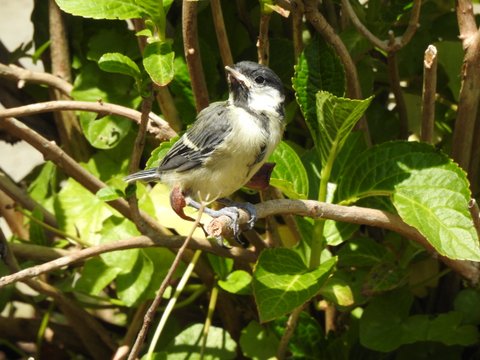 C1642A19-0E6C-4F93-B8CB-2A76319B143B