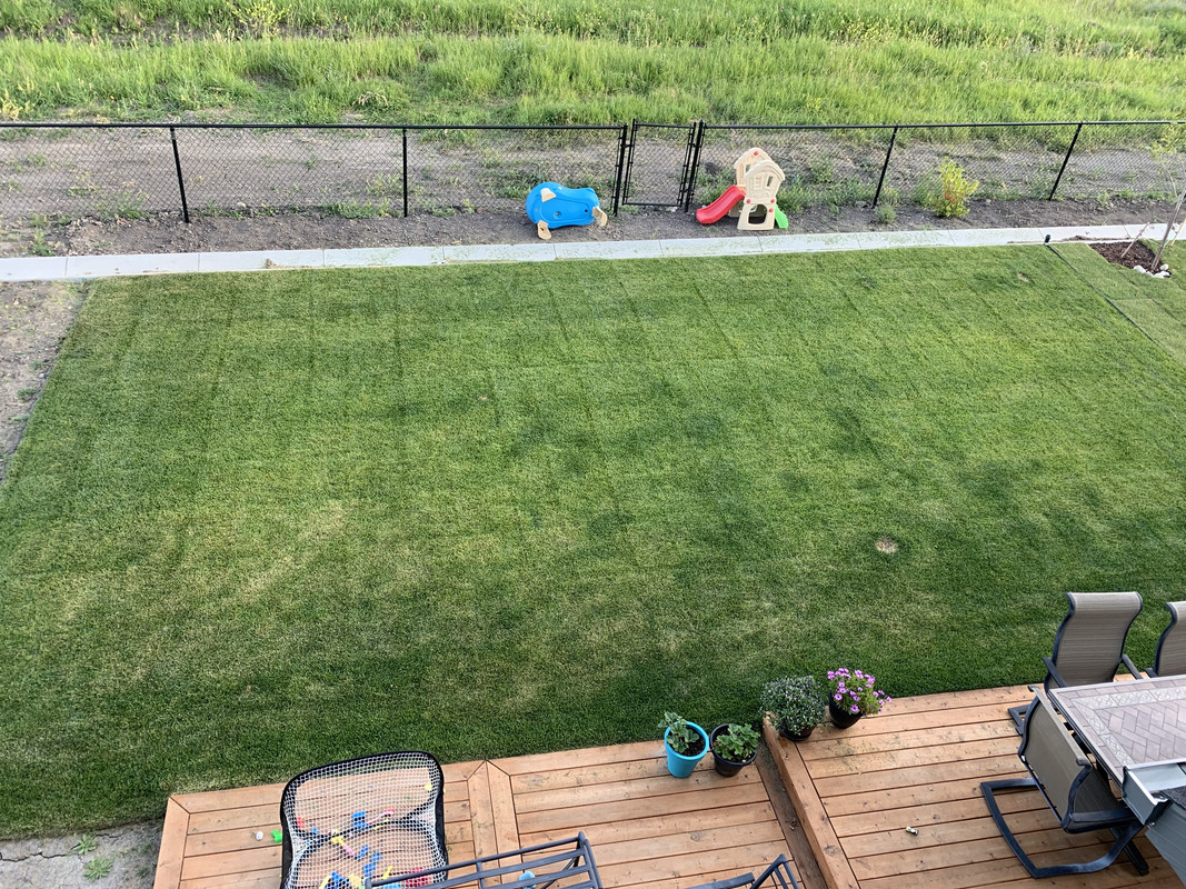 C887A4B9-C7D4-4D72-8405-56B68DEF0FEB