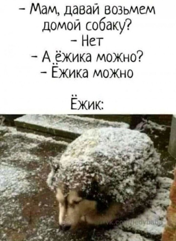 17175613.jpg