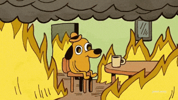 this-is-fine-dog.gif