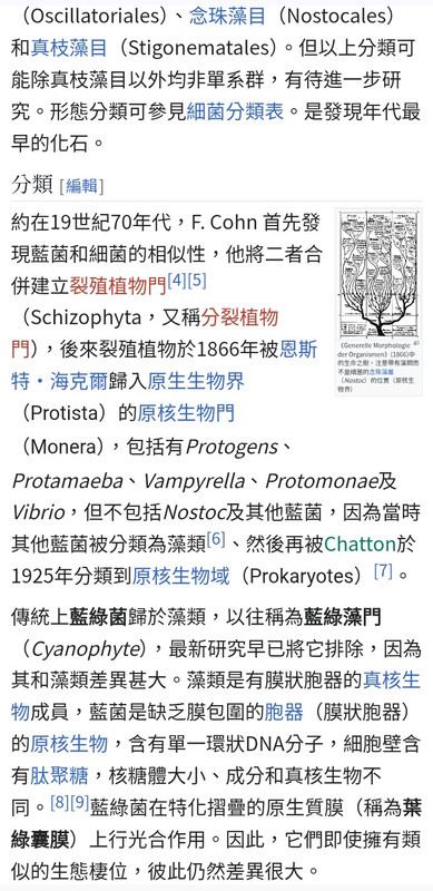 Re: [問卦] 沒人發現螢火蟲之墓亂帶風向黑那個阿姨！