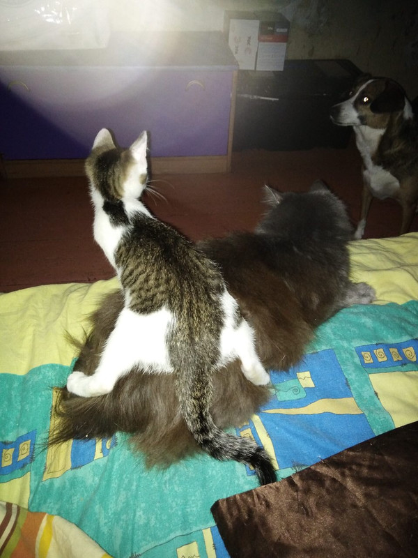 C909F76B-02AE-438D-8BF1-5417C8ECDF4D