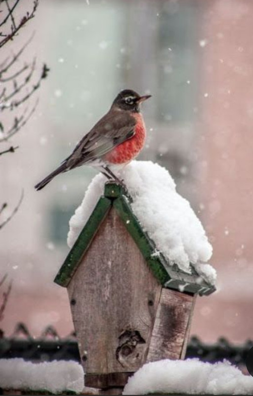 Screenshot_20231017_212730_Pinterest